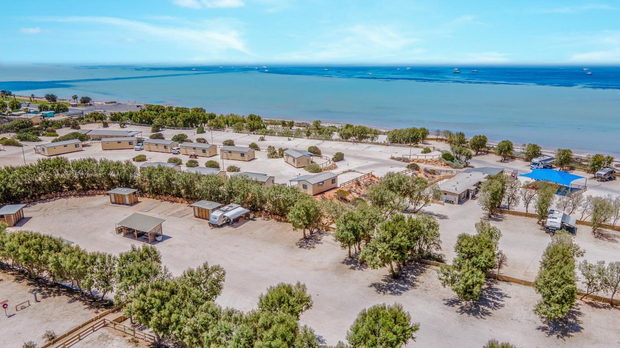 Tasman Holiday Parks - Denham Seaside Dış mekan fotoğraf